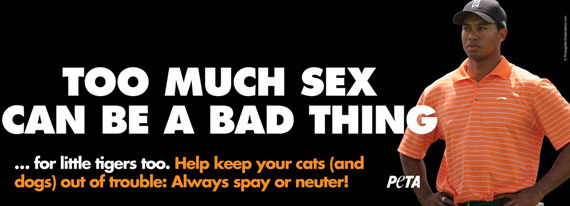 TIGER-WOODS-PETA-AD-TOO-MUCH-SEX