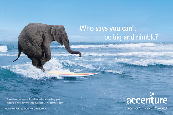 accenture_surf_elephant.jpg